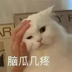 5.jpeg