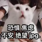 4.jpeg