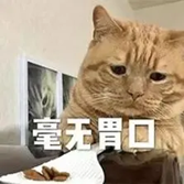 2.jpeg